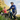 Where to Buy Portable Oxygen Concentrators in Wholesale?